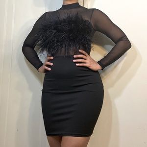 Black Feather Mesh Dress